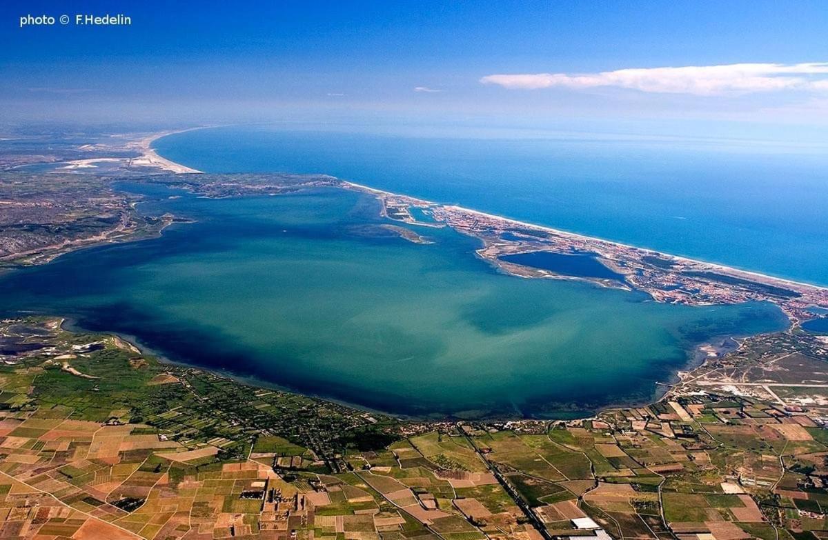 Studio Nefs Des Sables Leucate Zewnętrze zdjęcie